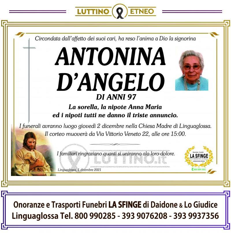Antonina  D'Angelo